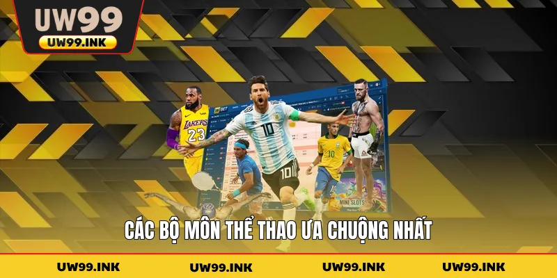 Các bộ môn thể thao ưa chuộng nhất