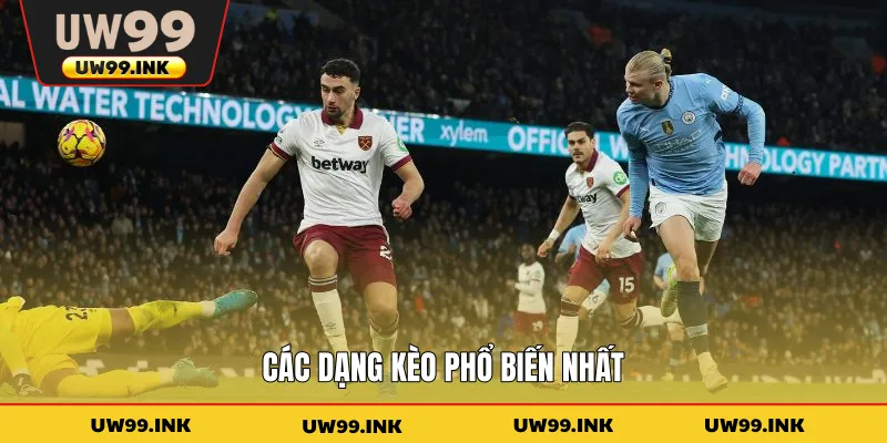 Các dạng kèo phổ biến nhất