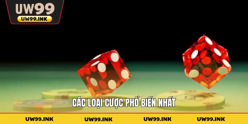 Các loại cược phổ biến nhất