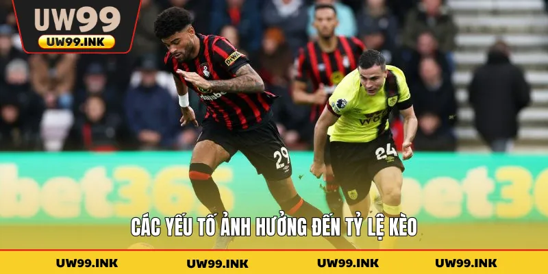 Các yếu tố ảnh hưởng đến tỷ lệ kèo