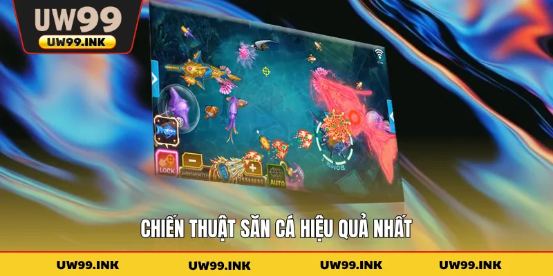 Chiến thuật săn cá hiệu quả nhất