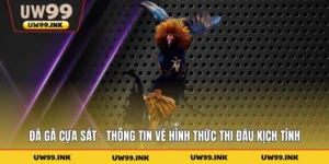 Đá Gà Cựa Sắt - Thông Tin Về Hình Thức Thi Đấu Kịch Tính