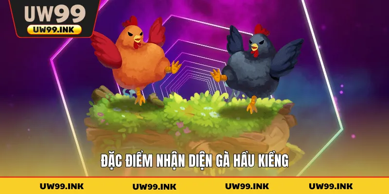 Đặc điểm nhận diện gà hầu kiềng