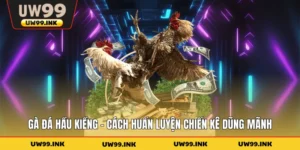 Gà Đá Hầu Kiềng - Cách Huấn Luyện Chiến Kê Dũng Mãnh