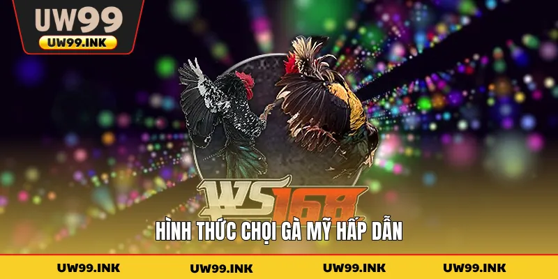 Hình thức chọi gà Mỹ hấp dẫn