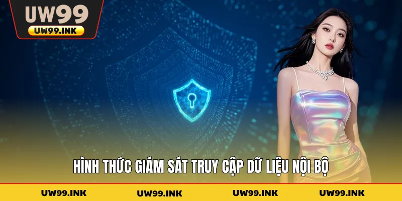 Hình thức giám sát truy cập dữ liệu nội bộ