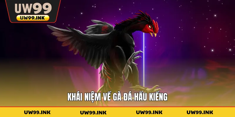 Khái niệm về gà đá hầu kiềng