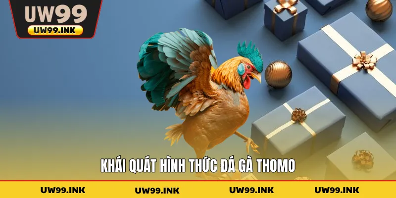Khái quát hình thức đá gà Thomo