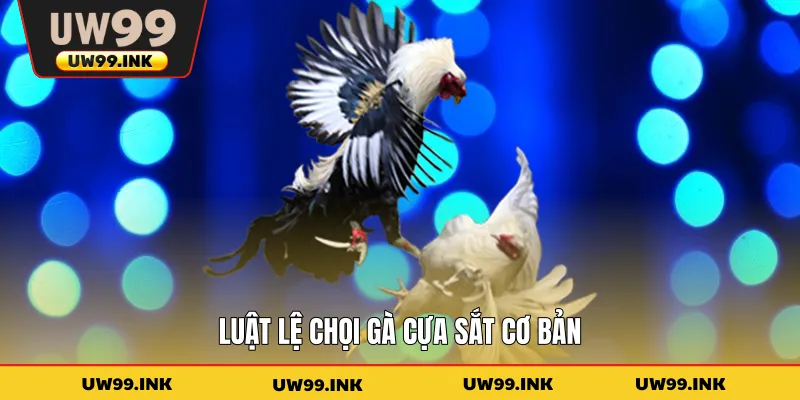Luật lệ chọi gà cựa sắt cơ bản