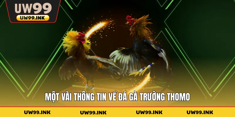 Một vài thông tin về đá gà trường Thomo
