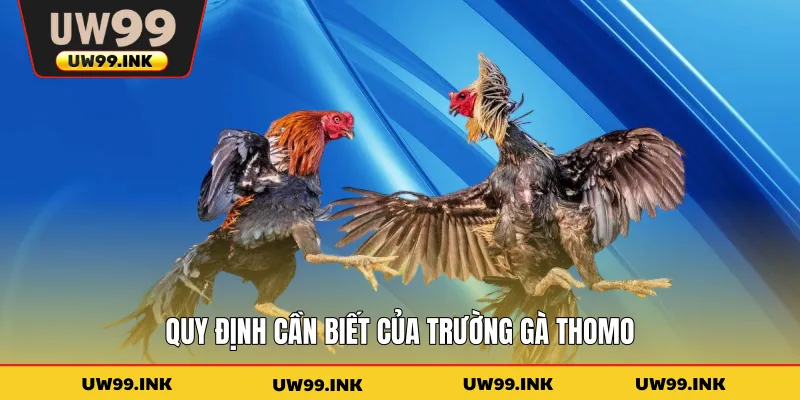 Quy định cần biết của trường gà Thomo