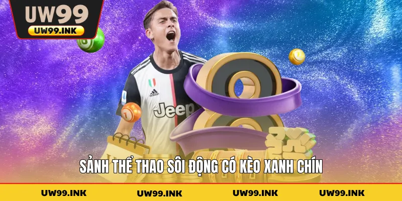 Sảnh thể thao sôi động có kèo xanh chín