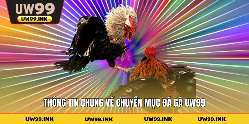 Thông tin chung về chuyên mục đá gà UW99