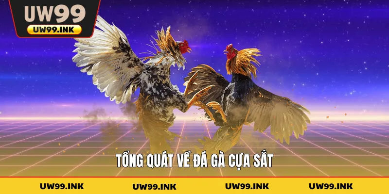 Tổng quát về đá gà cựa sắt